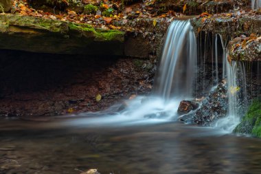 sonbahar ormanın ortasında huzurlu şelale manzarası.