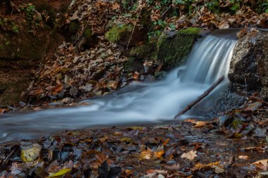sonbahar ormanın ortasında huzurlu şelale manzarası.