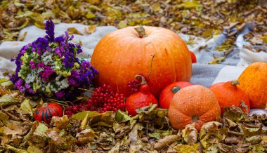 Sonbahar kompozisyonu sarı yaprakların arka planında meyve kabağı çiçekleri.