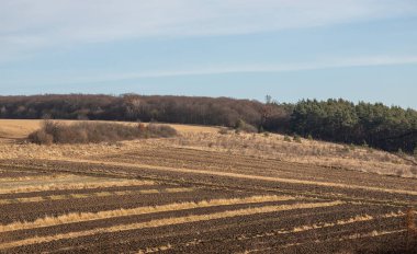 Tarla sürmüş bir tarlanın havadan görünüşü, tarım tarlasında tohum ekmek için hazırlık..