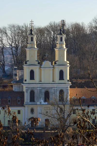 자회의 수도원에 견해는 우크라이나 테르노필 지역의 부차흐에 실리안 수도원이다 — 스톡 사진