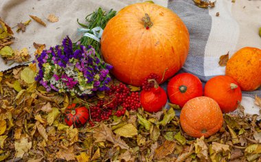 Sonbahar kompozisyonu sarı yaprakların arka planında meyve kabağı çiçekleri.