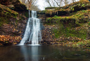 sonbahar ormanın ortasında huzurlu şelale manzarası.