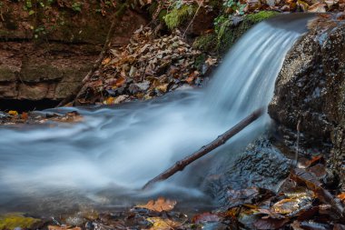 sonbahar ormanın ortasında huzurlu şelale manzarası.
