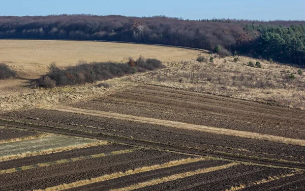 耕作場の空中風景 農地に種を蒔くためのプレペラトン — ストック写真
