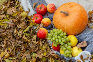 Sonbahar kompozisyonu sarı yaprakların arka planında meyve kabağı çiçekleri.