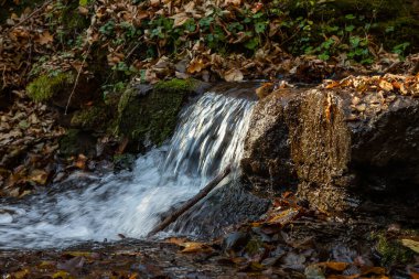 sonbahar ormanın ortasında huzurlu şelale manzarası.