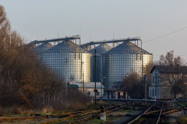 Ekinlerin depolanması ve işlenmesi için büyük, modern bir bitki. Güneşli bir günde ambar manzarası. Büyük demir variller dolusu tahıl. İşleme ve kurutma için tarım fabrikasının gümüş siloları.