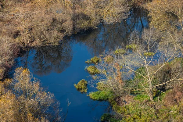 계절에 야생에서 공중에서 수있다 일몰에 나무들이 꼬불꼬불 과강의 배경에 야생계의 — 스톡 사진