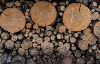 Odun yığını şömine ve kazan için hazırlandı..