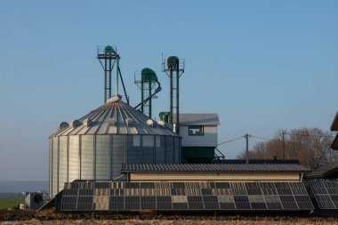 Ekinlerin depolanması ve işlenmesi için büyük, modern bir bitki. Güneşli bir günde ambar manzarası. Büyük demir variller dolusu tahıl. İşleme ve kurutma için tarım fabrikasının gümüş siloları.