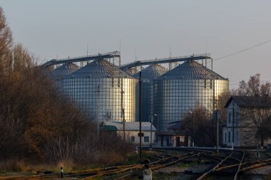 Ekinlerin depolanması ve işlenmesi için büyük, modern bir bitki. Güneşli bir günde ambar manzarası. Büyük demir variller dolusu tahıl. İşleme ve kurutma için tarım fabrikasının gümüş siloları.