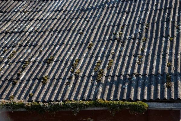 Old Covered Moss Wavy Roof Slates Covers Barn — Stock Photo, Image