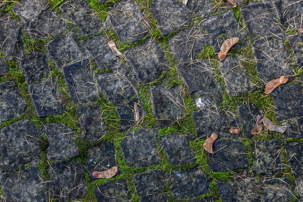 Widok Góry Bruk Tekstury Ulicy Trawy Struktura Nawierzchni Kamiennej — Zdjęcie stockowe
