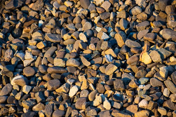 Small Bright Pebbles Gravel Background Texture — Stock Photo, Image