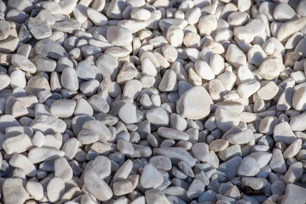 Small Bright Pebbles Gravel Background Texture — Stock Photo, Image