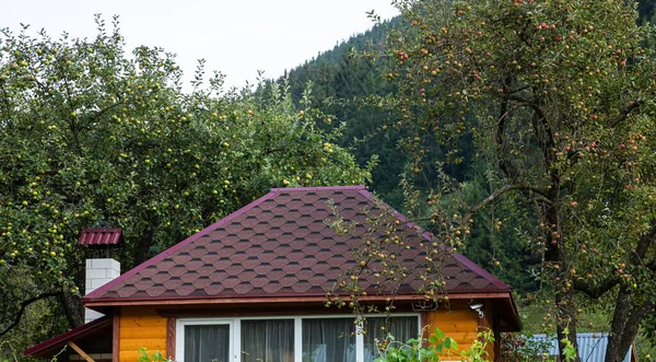 Neue Dachkonstruktion Mit Dachoberlichtern Regenrinnensystem Dachfenstern Und Dachschutz Vor Schneebrettern — Stockfoto