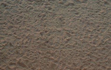 Sahilde kum, arka plan için. Arka plan olarak kahverengi kumsal dokusu. Yakın plan..