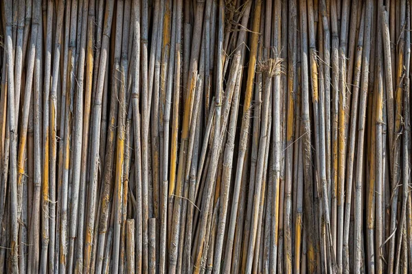 Reed Bakgrund Stängsel Från Vass Vassrörens Struktur — Stockfoto