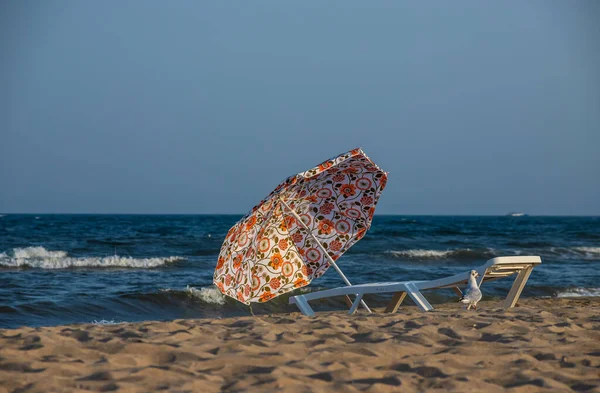 Slunečníky Solárium Pláž Mraky Tyrkysové Moře Panorama Barevné Slunečníky Bílá — Stock fotografie