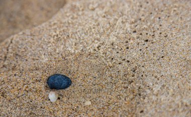 kumlu plaj yaz için arka plan. doku kum. makro çekim. kopya alanı.