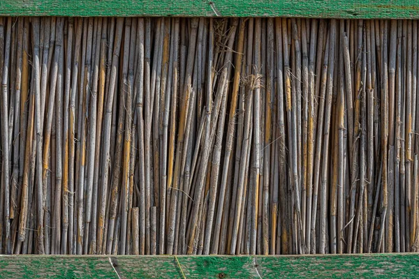 Reed Bakgrund Stängsel Från Vass Vassrörens Struktur — Stockfoto