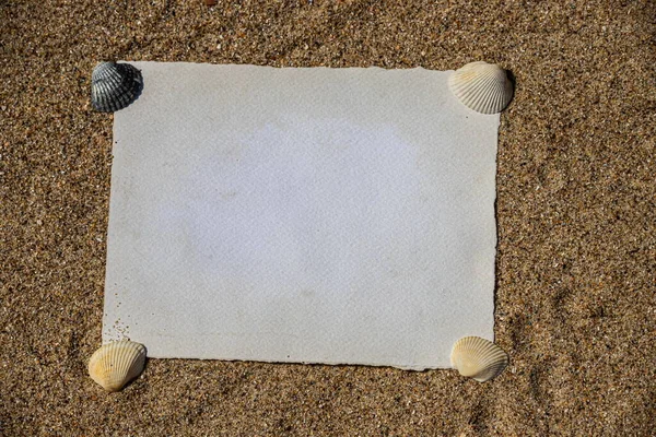 白纸铺在白沙滩上 上面有贝壳和石头 海边的信息 情人节 母亲节 父亲节 复制空间 — 图库照片