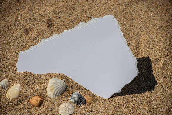 夏日风格 空白纸卡在海沙上 添加文本的夏季卡片背景 — 图库照片
