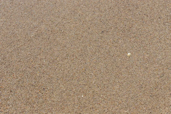 Sandy Beach Background Summer Sand Texture Macro Shot Copy Space — Stock Photo, Image