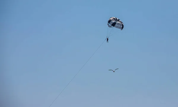 跳伞是海上一种很受欢迎的户外活动 降落伞和游客在海面上空翱翔 — 图库照片