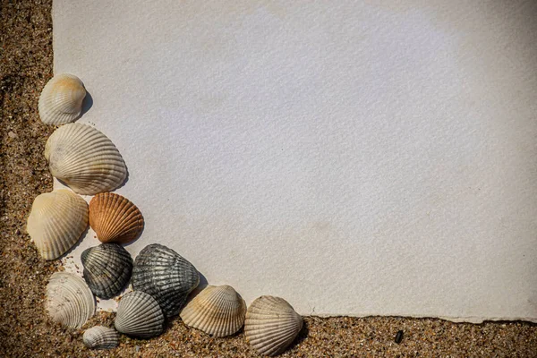 Blank White Sheet Paper White Sand Seashells Stones Message Sea — Stock Photo, Image