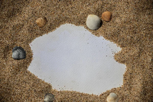 白纸铺在白沙滩上 上面有贝壳和石头 海边的信息 情人节 母亲节 父亲节 复制空间 — 图库照片