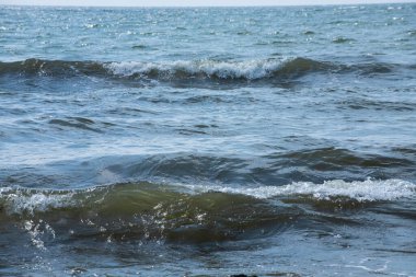 Sprey ve köpükle kıyıya yakın deniz dalgaları.