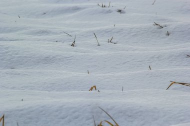 Karlı zemini olan güzel bir kış arkaplanı. Doğal kar dokusu. Kar yüzeyinde rüzgar şekilli desenler.