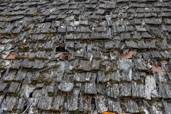 Stará Břidlicová Střecha Pokryta Zeleným Mechem Suchým Listím Koncept Výměny — Stock fotografie