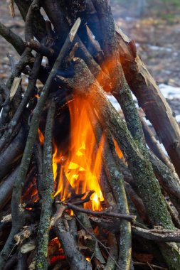Bahar ormanında kamp ateşi. Hafta sonu dinlen. Orman yangınları tehlikesi.