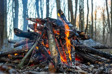 Bahar ormanında kamp ateşi. Hafta sonu dinlen. Orman yangınları tehlikesi.