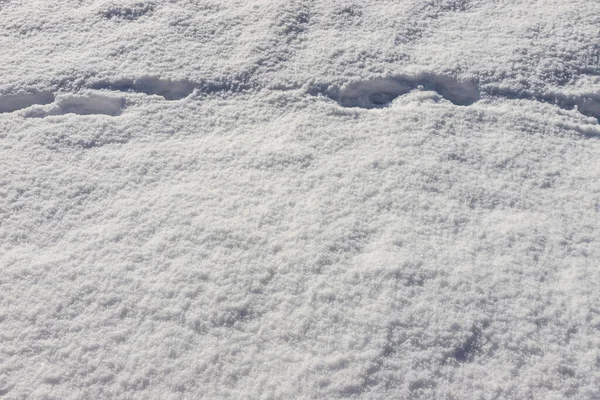 Prachtige Winterse Achtergrond Met Besneeuwde Grond Natuurlijke Sneeuw Textuur Wind — Stockfoto