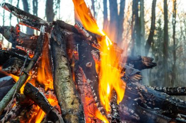 Bahar ormanında kamp ateşi. Hafta sonu dinlen. Orman yangınları tehlikesi.