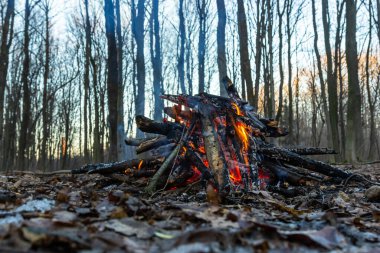 Bahar ormanında kamp ateşi. Hafta sonu dinlen. Orman yangınları tehlikesi.
