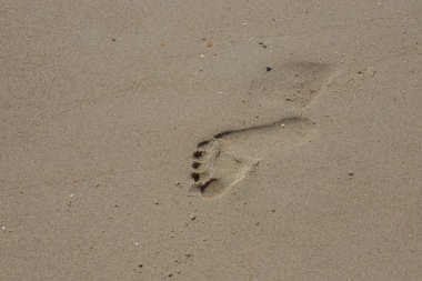 Deniz kenarında yalınayak yürürken sarı kumsalda ayak izlerini silip süpüren bir adamın ayak izleri. Hayatın tefekkürü