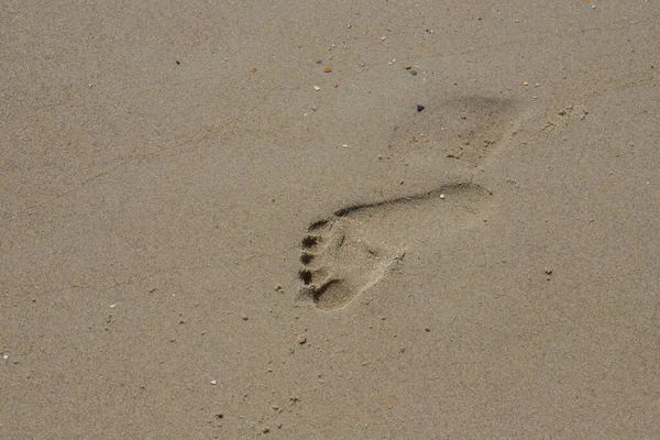 Empreintes Pas Homme Sur Plage Jaune Sable Marcher Pieds Nus — Photo