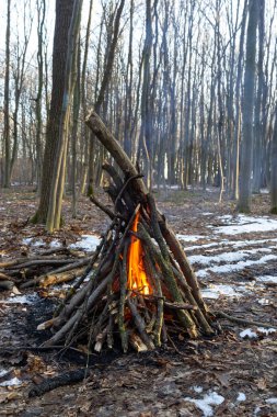 Bahar ormanında kamp ateşi. Hafta sonu dinlen. Orman yangınları tehlikesi.