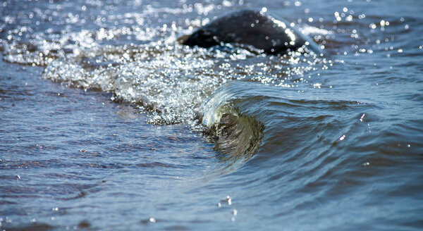Морская волна с брызгами и пеной у берега.