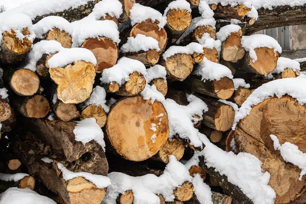 Schneebedecktes Brennholz Holzstapel Geschnitten Schnee Auf Dem Holzstapel Holzlager Unter — Stockfoto