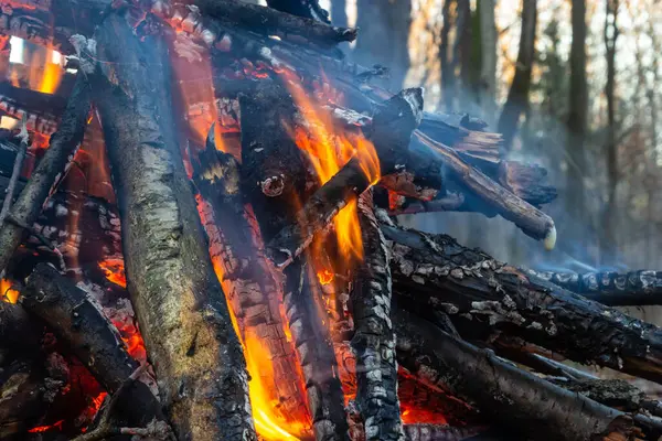 แคมป ไฟในป าฤด ใบไม อนในว นหย นตรายจากไฟป — ภาพถ่ายสต็อก