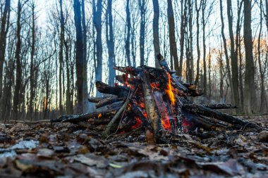 Bahar ormanında kamp ateşi. Hafta sonu dinlen. Orman yangınları tehlikesi.