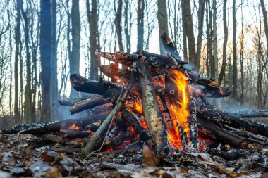 Bahar ormanında kamp ateşi. Hafta sonu dinlen. Orman yangınları tehlikesi.