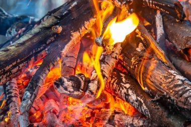 Bahar ormanında kamp ateşi. Hafta sonu dinlen. Orman yangınları tehlikesi.