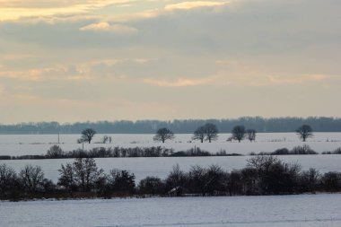 Saha ya da çayır üzerinde gün batımı. Kış karlı zemin üzerindeki gökyüzünün rengi. Gün batımında resim gibi bir gökyüzünün altındaki manzara. Güneşin doğuşu. Skyline, Horizon.